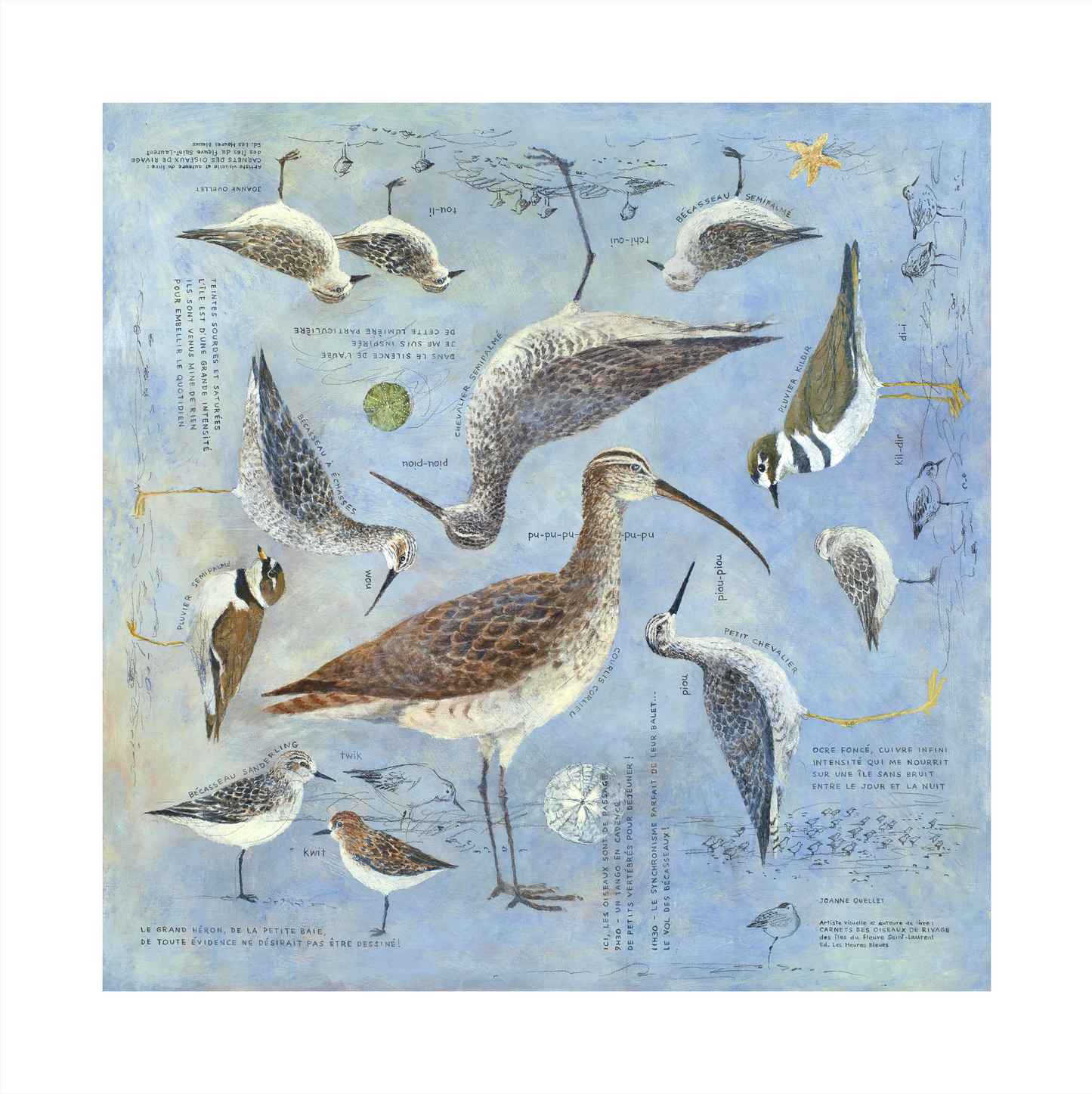 Les petits pas perdus