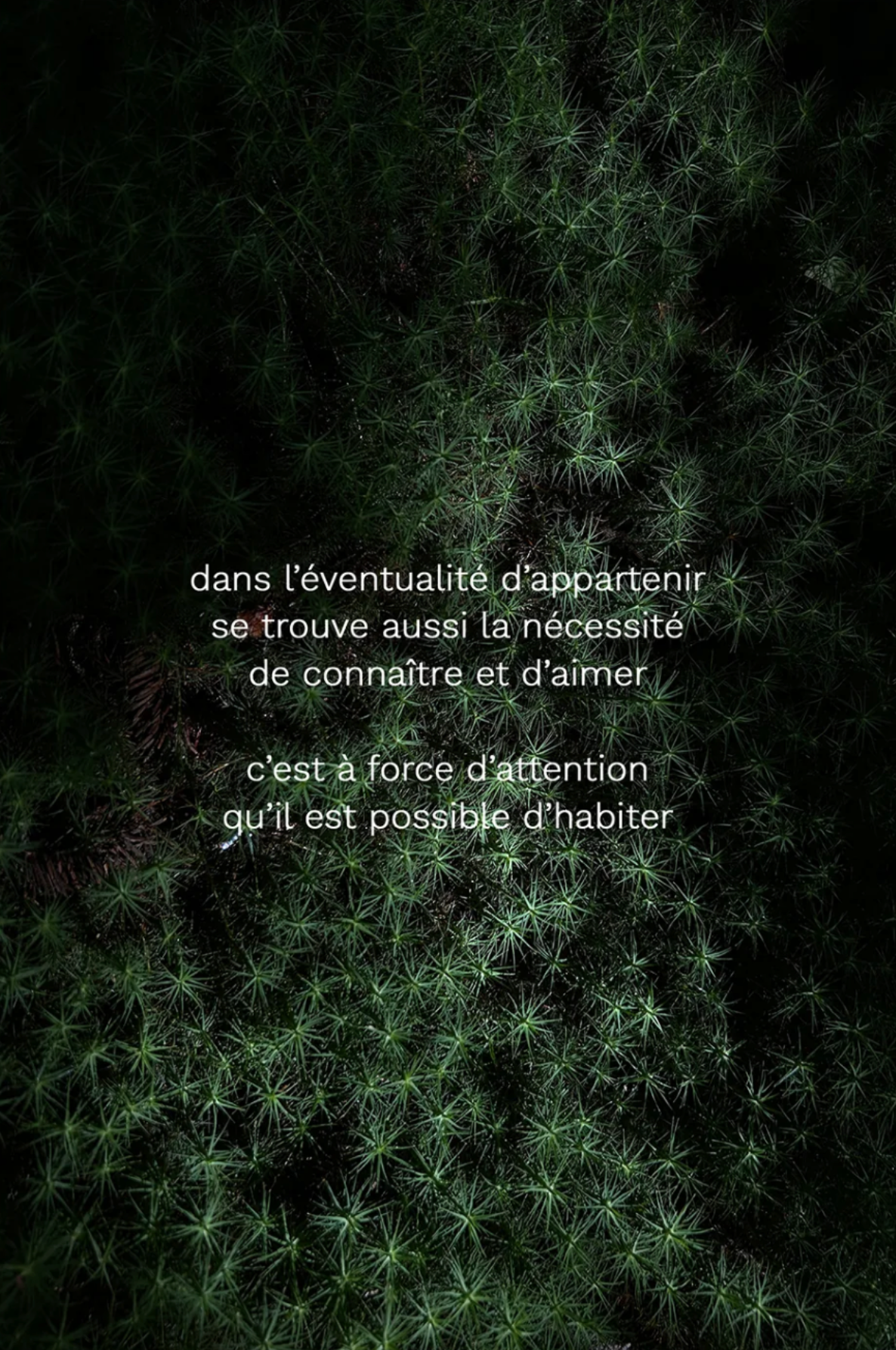 Cueillette - appartenir