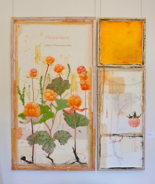La Plaquebière, série Planche Botaniques, 2022