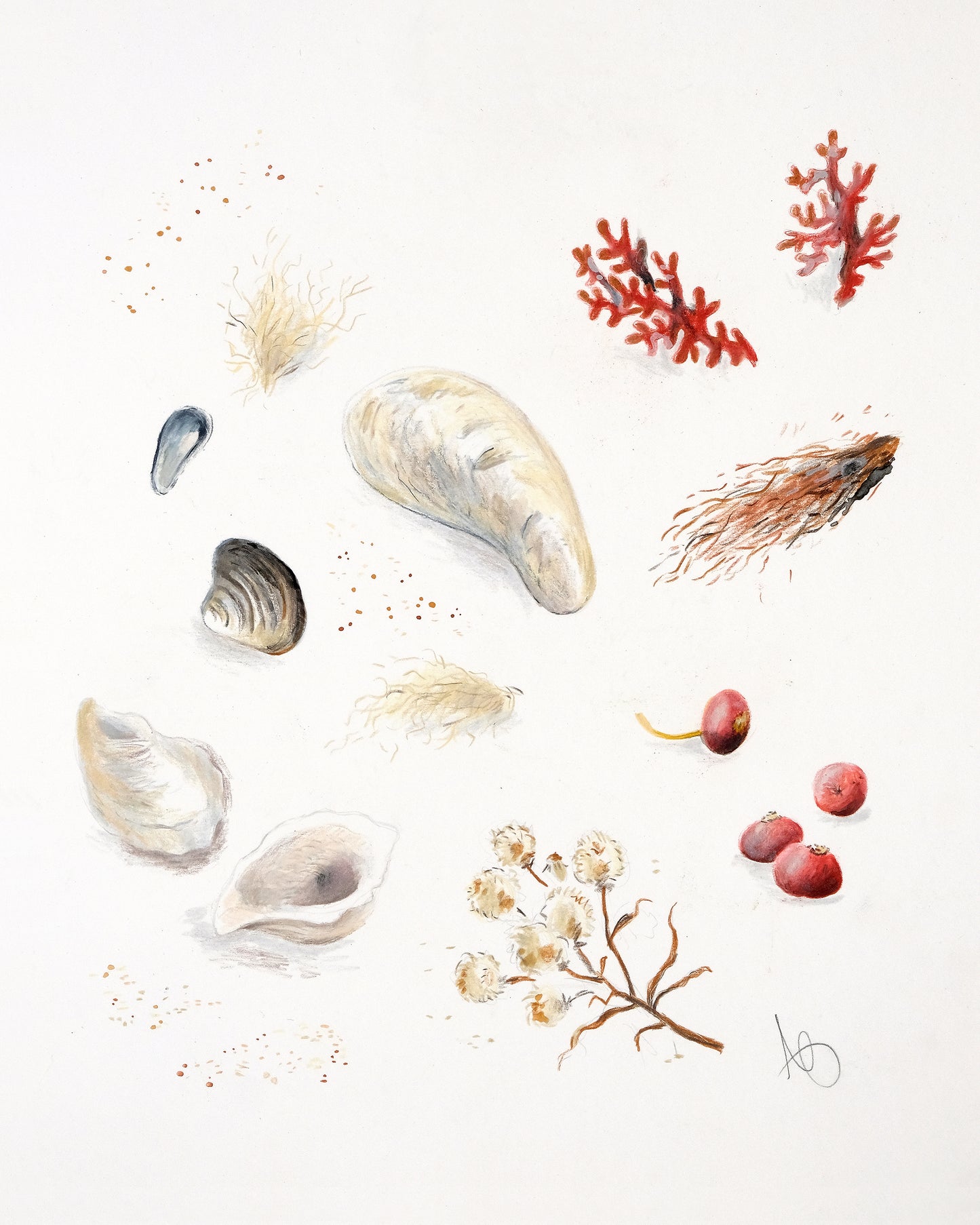 Trouvailles de mer
