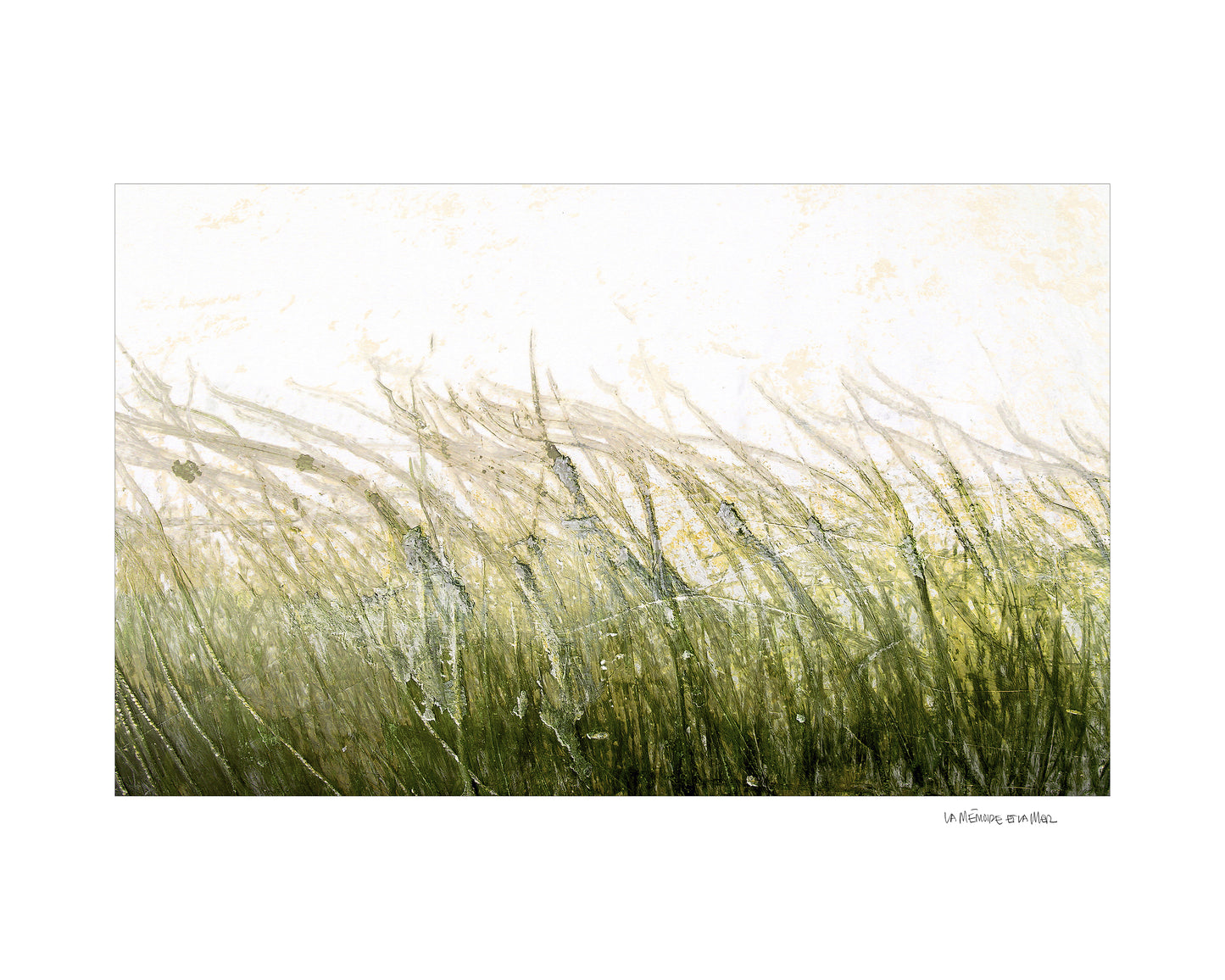 Œuvre d’art photographique d’une coque de bateau verte de Julien Livernois, la mémoire et la mer