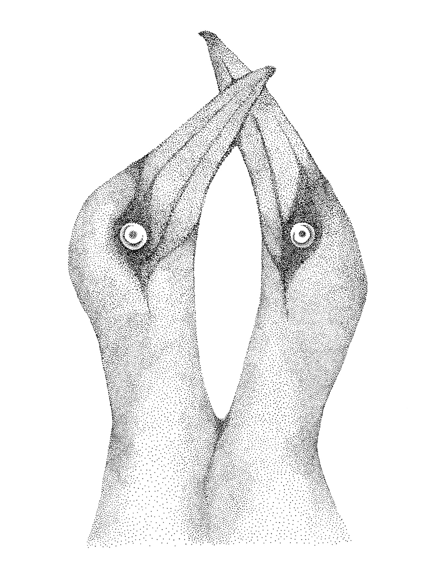 Œuvre d’art à l’encre noire de Van B représentant deux oiseaux des Iles de la Madeleine