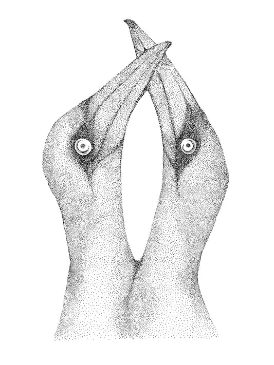 Œuvre d’art à l’encre noire de Van B représentant deux oiseaux des Iles de la Madeleine