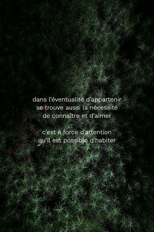 Cueillette - appartenir