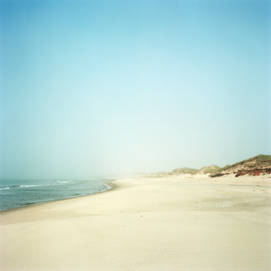 Dune