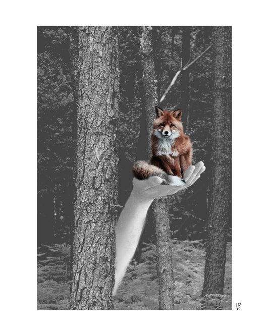 Petit renard